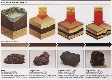 facts link classification and rank of coal link coal rank | Уголь, Кристаллы