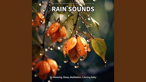 Rain Sounds to Study To - YouTube