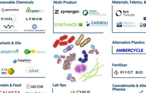 35+ Companies Using Synthetic Biology To Rethink Everything From Plastics To Fabrics To ...