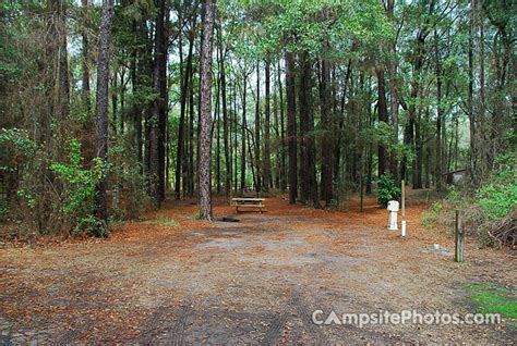 Suwannee River State Park - Campsite Photos, Info & Reservations