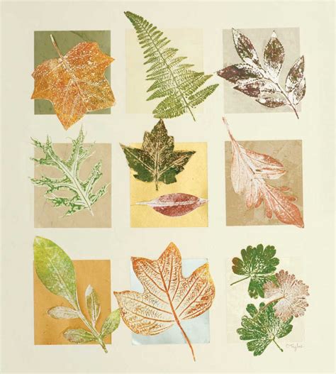 Nature prints an easy monoprinting tutorial – Artofit