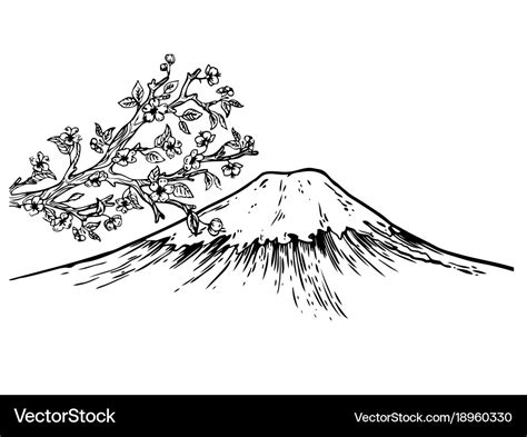 Mount fuji japan cherry blossom engraving Vector Image