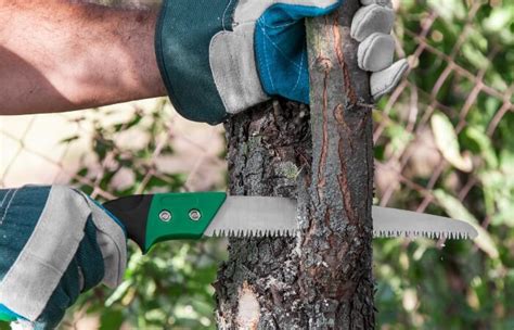 5 Best Pruning Saws Of 2023 For Branches & Trees