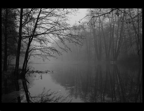 Fog in black and white. by Irina Antonova. | Landscape, Landscape photos, Photo