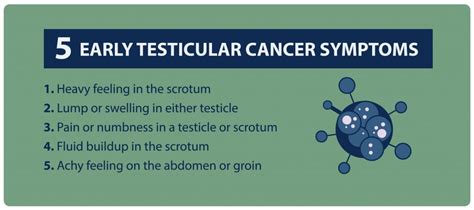 01-5-early-testicular-cancer-symptoms-01 - Northwest Primary Care