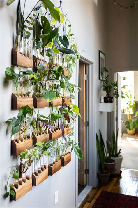 20+30+ Decorating Walls With Plants – HOMYRACKS