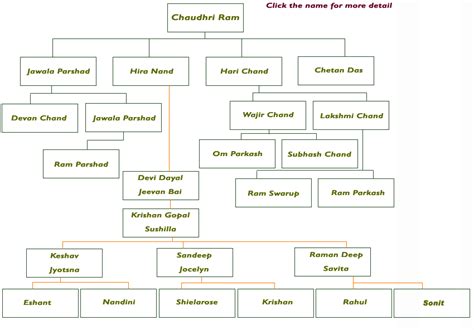 Gandhi Pariwar ( Family Tree )