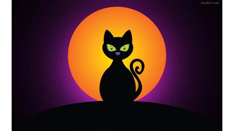 10 New Halloween Black Cats Wallpaper FULL HD 1920×1080 For PC Desktop 2023