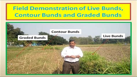 Field Demonstration of Live Bunds, Contour Bunds and Graded Bunds - YouTube