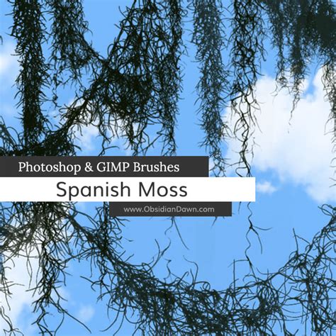 Spanish Moss Photoshop and GIMP Brushes by redheadstock on DeviantArt