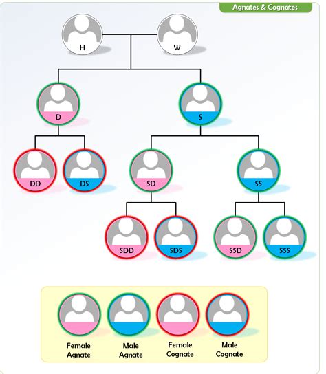 Islamic Law Of Inheritance Chart - Ponasa