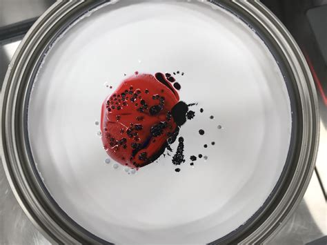 Ladybug : r/unstirredpaint