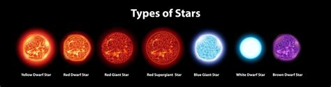 Premium Vector | Different types of stars