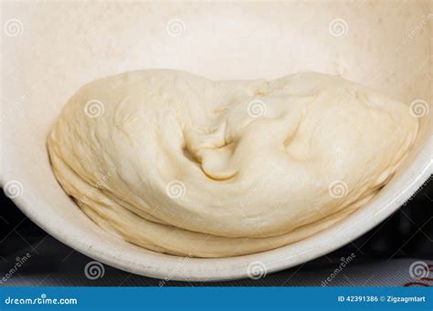 Bread Dough Rising in a Bowl Stock Photo - Image of making, bowl: 42391386