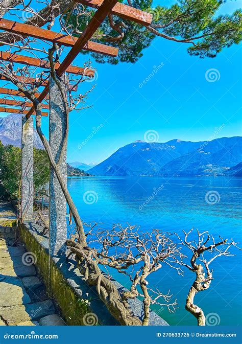 Lake Lugano from Pergola of a Small Garden, Oria, Valsolda, Lombardy ...