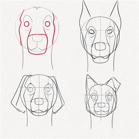 How To Draw A Dog Face Realistic