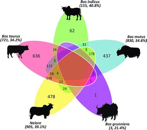 Venn diagram of OGs under positive selection in Bovinae species. Image ...