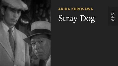 Stray Dog - The Criterion Channel