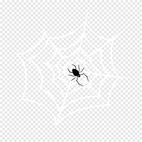 Free download | White spider web, white, web Design png | PNGEgg