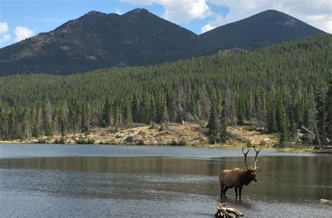 Rocky Mountain National Park & Moraine Park Campground - Girl Camper