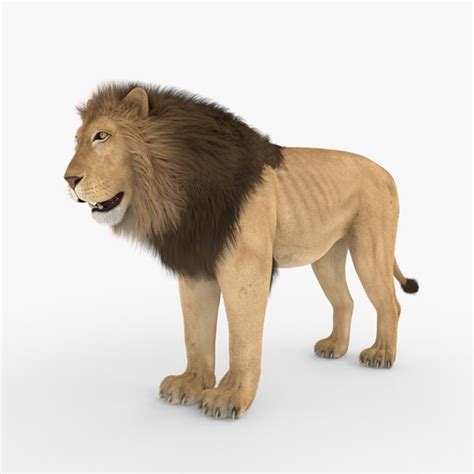 Lion Blender Models for Download | TurboSquid