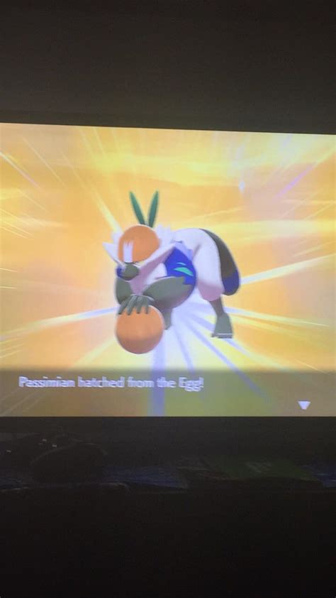 Shiny passimian 33 eggs! : r/PokemonSwordAndShield