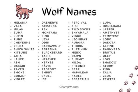 350+ Wolf Names Outstanding Ideas For Your Brave Lil' Friend