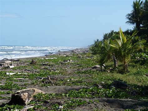 Pacifico Costa Rica Spiaggia · Foto gratis su Pixabay