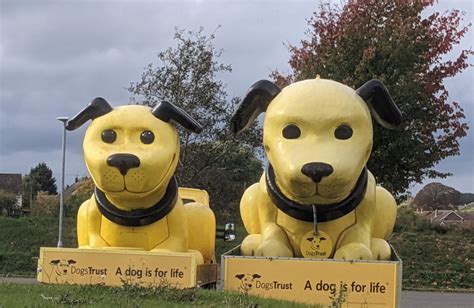 Visit to the Dogs Trust rehoming centre near Evesham | Nigel Huddleston