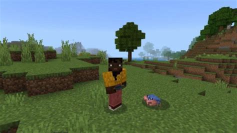 Download Crab Mod (Mob Vote) for Minecraft PE: Crab Mod for Minecraft Bedrock Edition