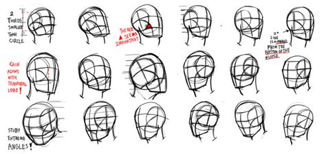 Loomis head studies by Torres-PT on DeviantArt