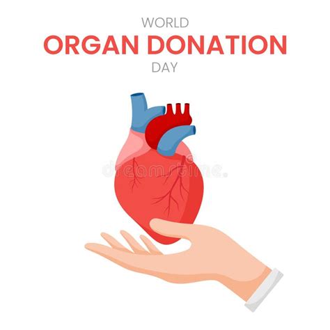 National Organ Donor Day with Human Heart Stock Illustration ...