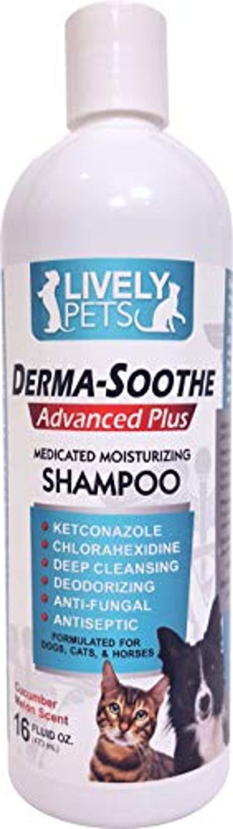 RenuPlex Medicated Dog Mange Shampoo Antifungal Extra Strength Mange ...