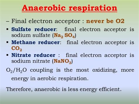 Microbial respiration