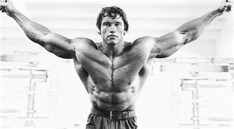 Arnold Schwarzenegger Chest Workout Exercises | Blog Dandk