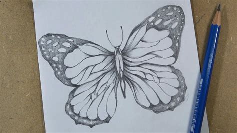 Pencil Butterfly Drawing Images Easy - itsessiii