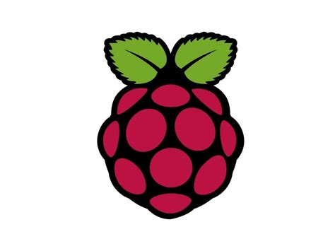 Raspberry Pi Logo PNG vector in SVG, PDF, AI, CDR format