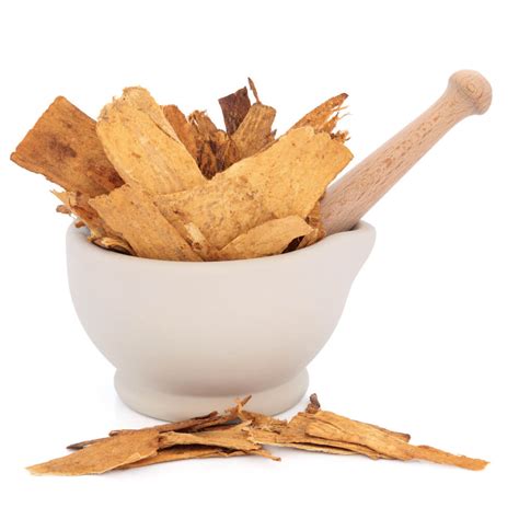 Top Benefits of Astragalus: Immunity & More – Euphoric Herbals