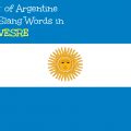 BOLUDO: The Most Important Argentina Spanish Slang Word