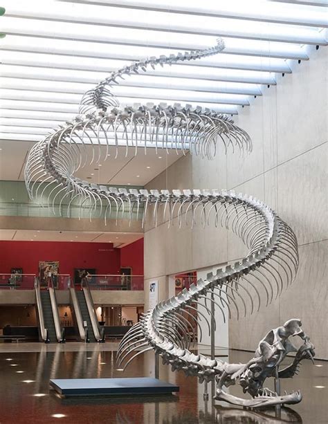 A Giant Aluminum Snake Skeleton Rises from a Pool of Water at the ...