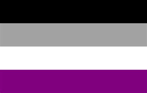 Sexuality and Fetish Pride Flags History and Meaning