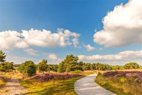 Hoge Veluwe National Park