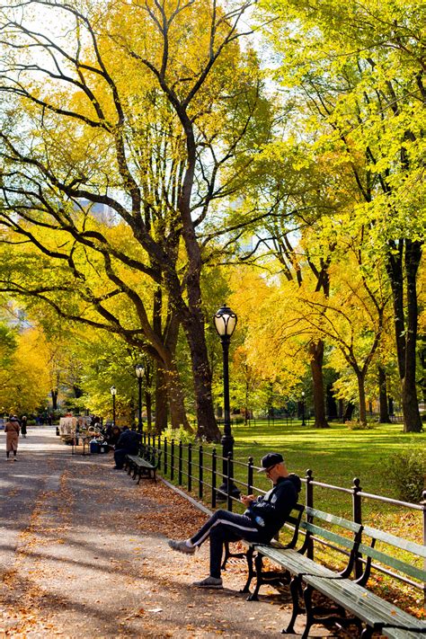 18 BREATHTAKING Spots for Fall Foliage in New York City