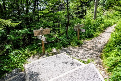 Clingmans Dome Hike