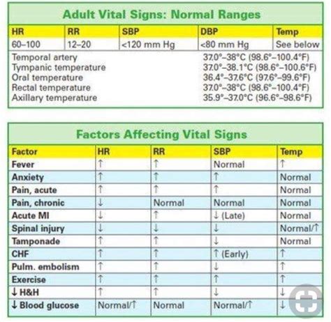 vital signs | Nursing notes, Vital signs, Nurse