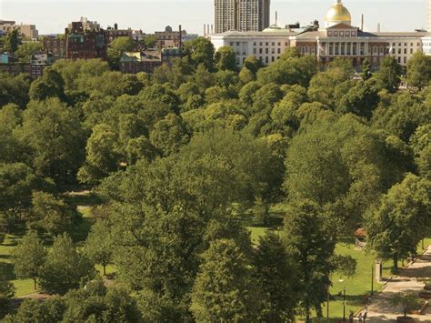 The Ritz-Carlton, Boston | gotravelyourself.com