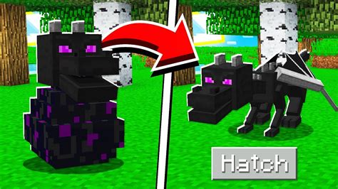 How to HATCH the ENDER DRAGON EGG in Minecraft Tutorial! - Sf2024