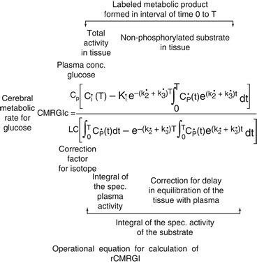 Cerebral Glucose Metabolism | Radiology Key