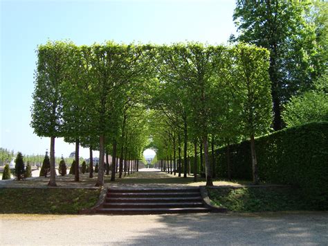 Gardening in Mannheim, Germany: A visit to the Schwetzingen palace gardens