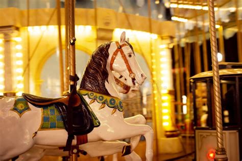 Carousel Horse. Merry Go Round, Night. Entertainment Stock Image ...